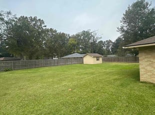 Ben H.'s turf care service result