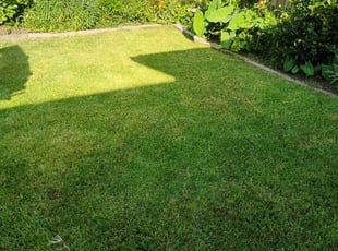 Kevin L.'s lawn care service result