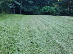 Laura L.'s lawn care service result