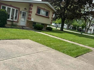 Brady K.'s grass maintenance service result
