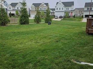 Colby C.'s grass maintenance service result