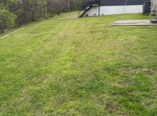 Erica T.'s grass maintenance service result