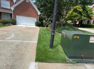 Sheila D.'s turf care service result