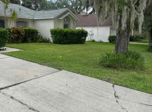 Latisha C.'s lawn maintenance service result