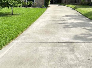 Cathy H.'s turf maintenance service result