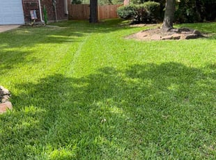 Selah T.'s grass cutting service result