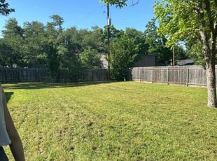 George C.'s lawn service service result