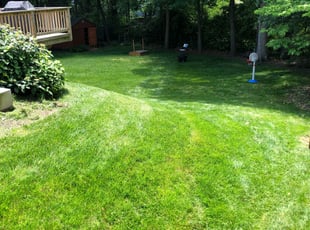 Tori D.'s Long Grass Cleanup service result