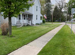 Shirley P.'s lawn service service result