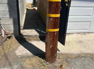 Sean S.'s Bush Trimming service result