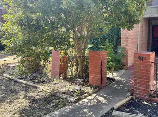 Lizette W.'s Bush Trimming service result