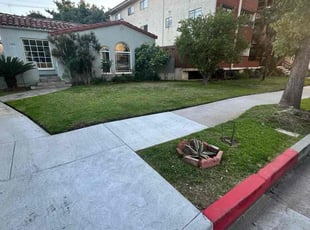 Monique A.'s turf care service result