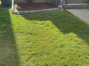 Austin C.'s turf maintenance service result