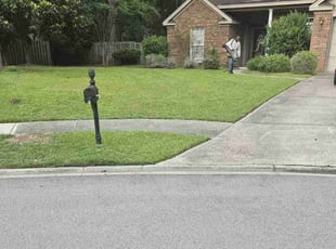 Desiree C.'s turf care service result
