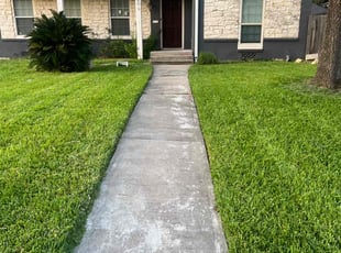 Michael H.'s turf maintenance service result