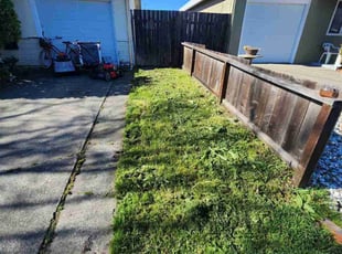 Avnish W.'s turf maintenance service result