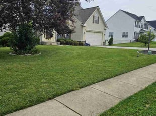 Sharon N.'s lawn service service result