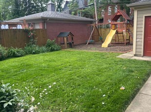 Kevin R.'s lawn maintenance service result