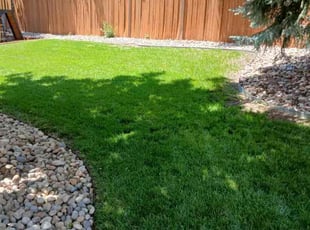 Sabrina T.'s Bush Trimming service result