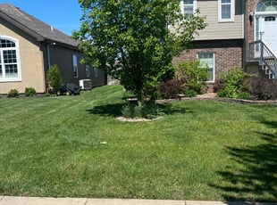 Tenell B.'s Bush Trimming service result