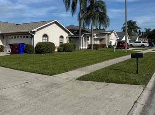 Sylvia G.'s lawn care service result