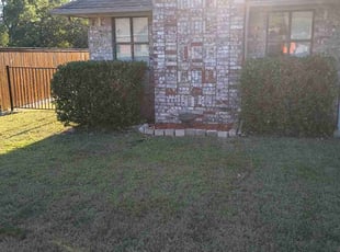 Jeffrey Z.'s Bush Trimming service result