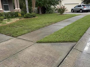 John S.'s turf maintenance service result