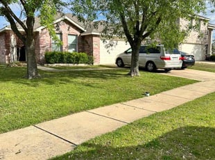 Allie J.'s turf maintenance service result