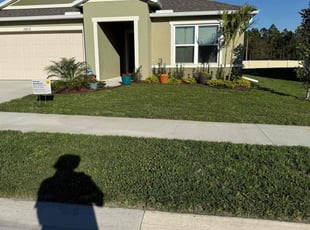 Sonia C.'s grass cutting service result