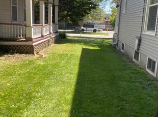 Beatriz H.'s lawn service service result