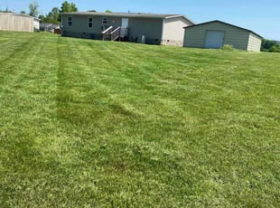 Heidi F.'s lawn service service result