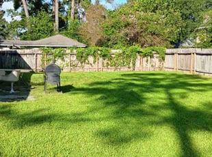 Intaek H.'s lawn care services service result