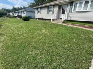 Todd J.'s lawn maintenance service result