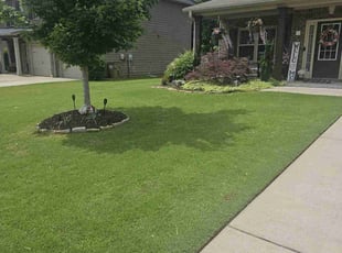 Lesha S.'s turf maintenance service result