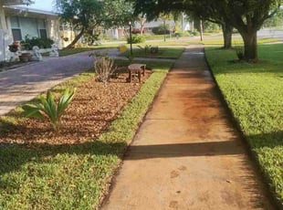 Dawson S.'s lawn care service result