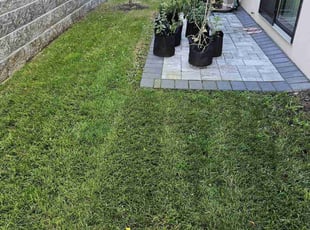 Kareem A.'s lawn service service result