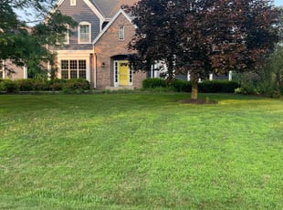 Chris M.'s lawn maintenance service result