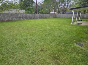 Chris L.'s lawn maintenance service result