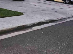 Linsay P.'s grass cutting service result