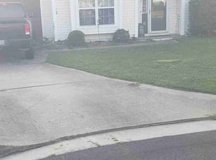 Rosalynd D.'s grass maintenance service result