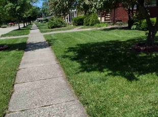 Chanique S.'s grass maintenance service result
