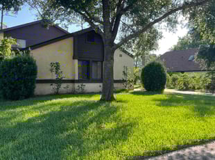 Janet N.'s grass cutting service result