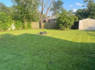 Diana M.'s turf care service result