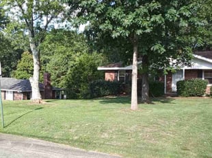 Samelynn C.'s grass cutting service result
