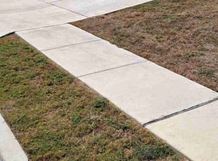 Virginia B.'s turf care service result