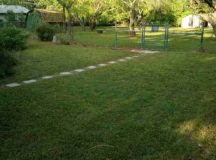David A.'s grass maintenance service result