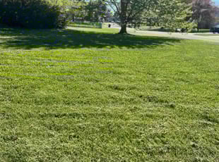 Debi E.'s lawn care services service result