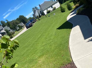 Liam V.'s grass cutting service result