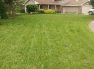 Chris c.'s lawn maintenance service result