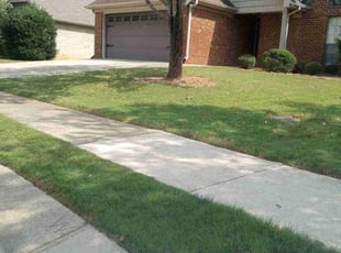 Vekesha H.'s lawn care service result